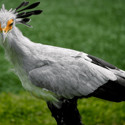 Kidepo National Park
