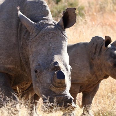 Kibale National Park