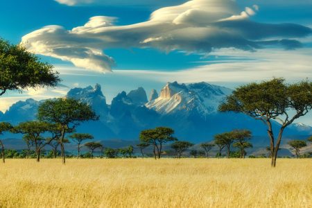 Top 5 Tips for Your First Safari in East Africa