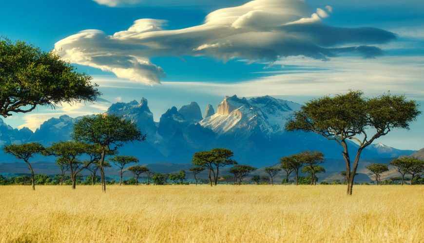 Top 5 Tips for Your First Safari in East Africa