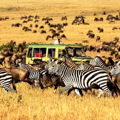 Serengeti National Park