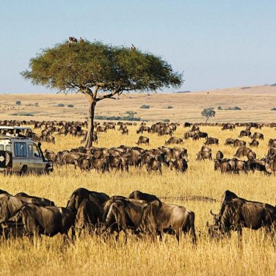 Maasai Mara National Reserve
